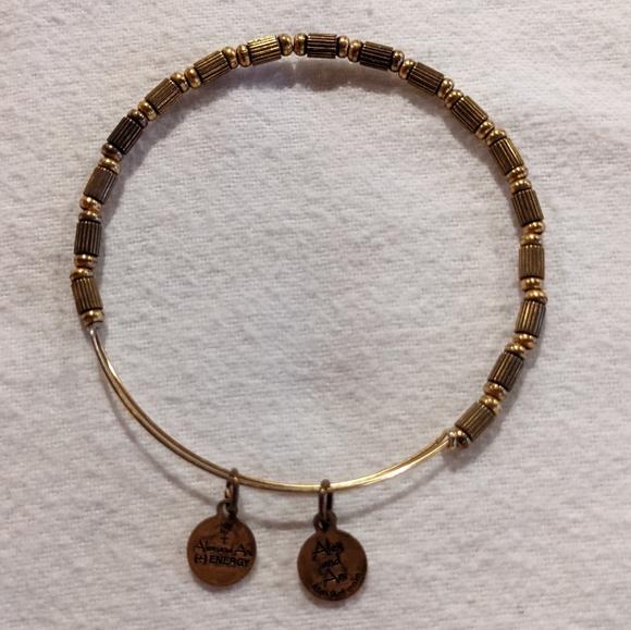 Alex and Ani Set of 11 Bamboo, Lightning, & Beaded Bangles - Picture 7 of 8